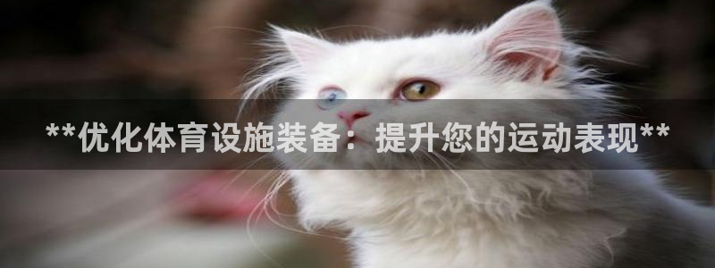 意昂3集团E.ON：**优化体育设施装备：提升您的运