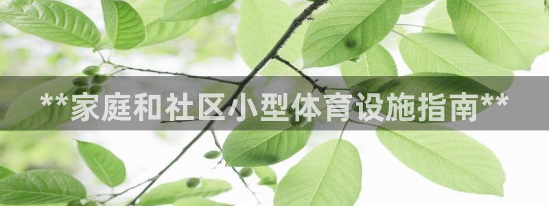 意昂体育3平台注册流程视频：**家庭和社区小型体育设
