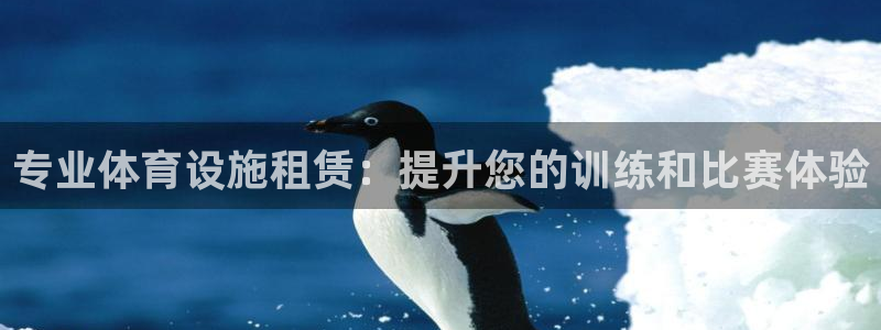 意昂3开户：专业体育设施租赁：提升您的训练和比赛体验