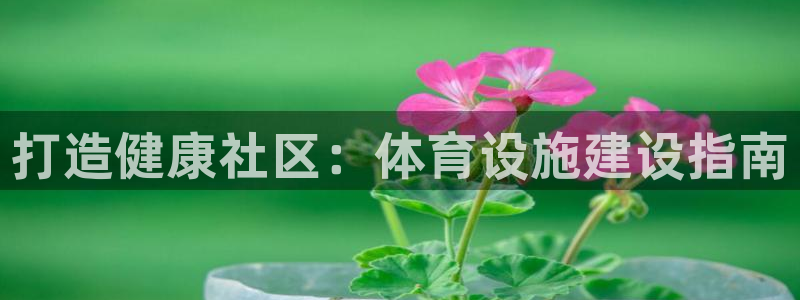 意昂体育3招商电话号码是多少：打造健康社区：体育设施
