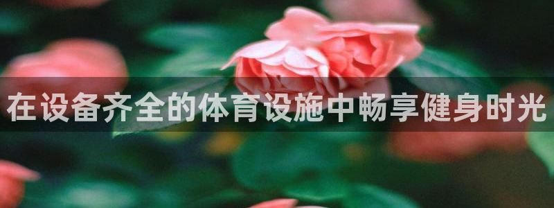 意昂3娱乐下载：在设备齐全的体育设施中畅享健身时光