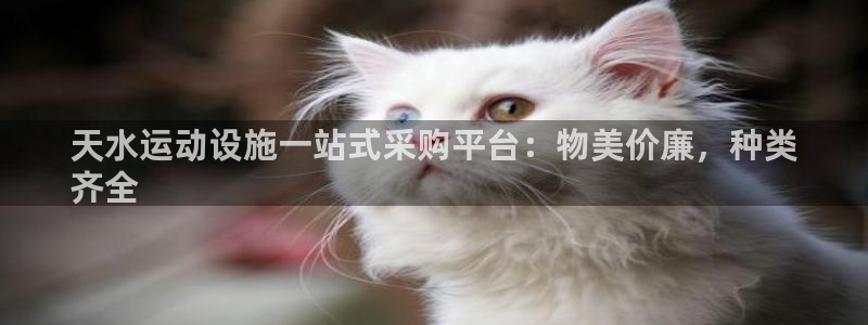 海南意昂体育3：天水运动设施一站式采购平台：物美价廉