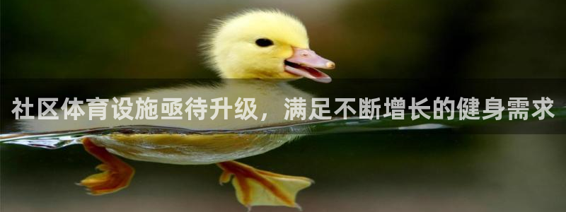 海南意昂体育3发展怎么样：社区体育设施亟待升级，满足