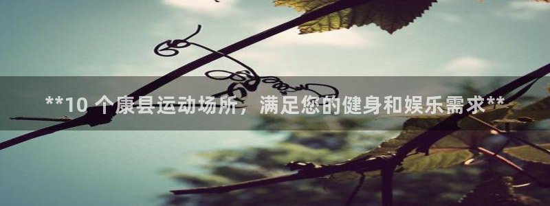 意昂3娱乐网站：**10 个康县运动场所，满足您的健身和娱乐
