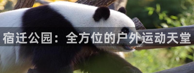 意昂3集团官网首页网址：宿迁公园：全方位的户外运动天