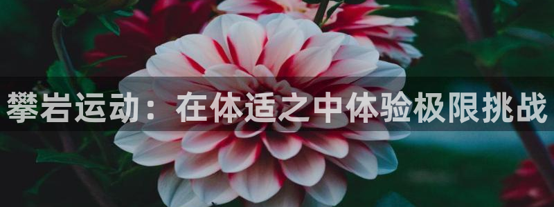 意昂体育3娱乐