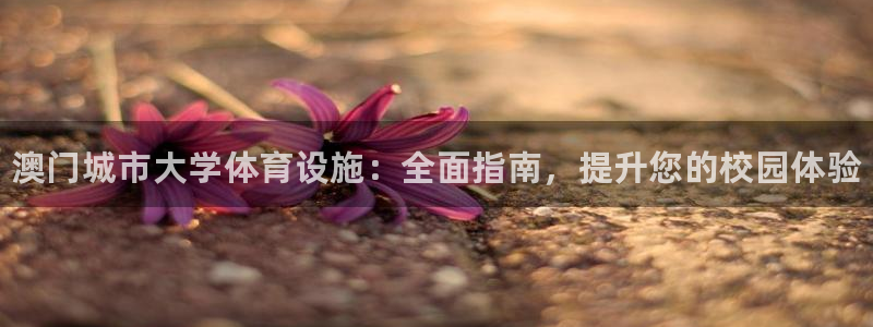 意昂体育3平台是正规平台吗：澳门城市大学体育设施：全面指南，