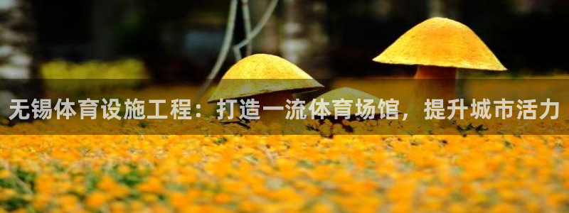 意昂体育3招商电话号码查询是多少：无锡体育设施工程：打造一流