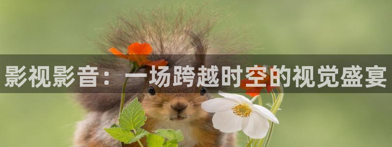丫丫影院免费观看电影：影视影音：一场跨越时空的视觉盛宴