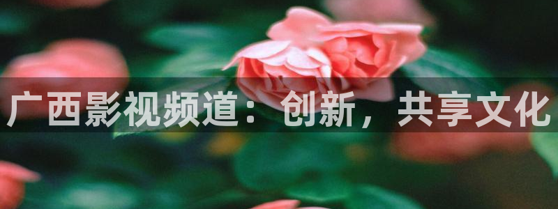 丫丫影院在线播放：广西影视频道：创新，共享文化