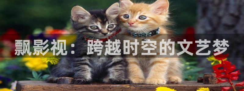 丫丫4480私人影院：飘影视：跨越时空的文艺梦