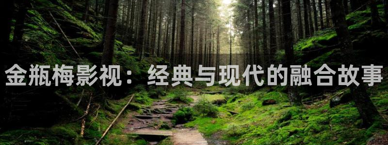 丫丫影院免费观看电视剧丫丫6080：金瓶梅影视：经典与现代的融合故事