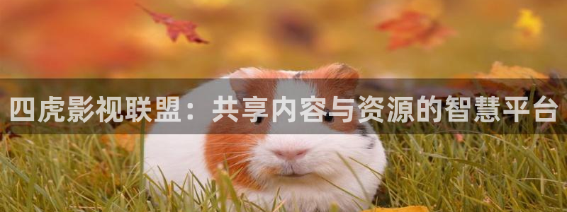 丫丫私人影院：四虎影视联盟：共享内容与资源的智慧平台