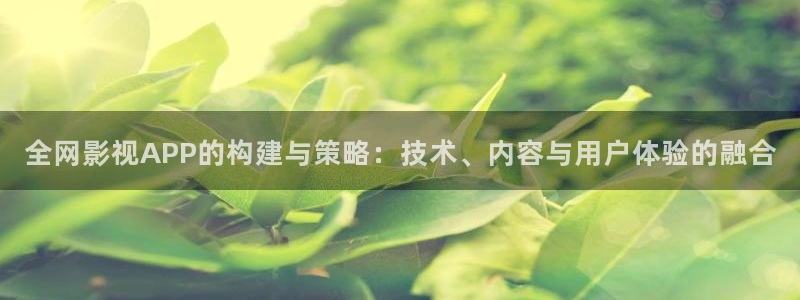 高清丫丫私人影院：全网影视APP的构建与策略：技术、内容与用户体验的融合