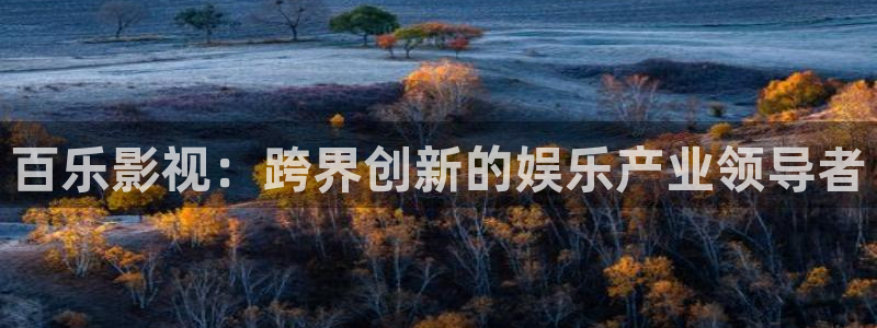 丫丫影院免费观看电视剧丫丫6080：百乐影视：跨界创新的娱乐产业领导者