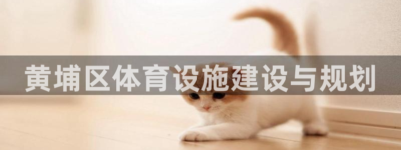 意昂体育3平台：黄埔区体育设施建设与规划
