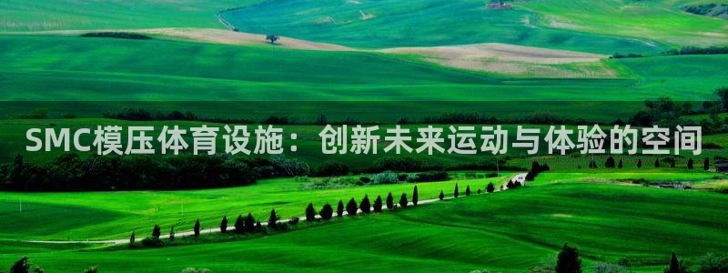 意昂3集团：SMC模压体育设施：创新未来运动与体验的空间