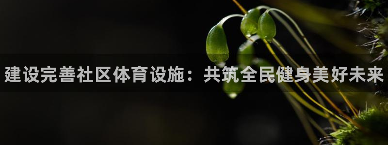 意昂体育3平台注册