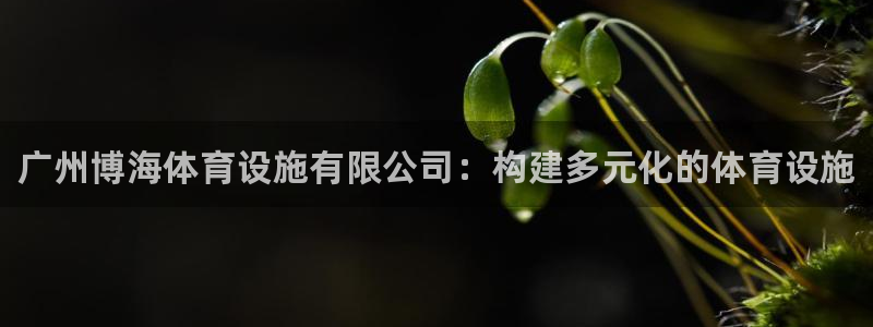 意昂3代理：广州博海体育设施有限公司：构建多元化的体育设施